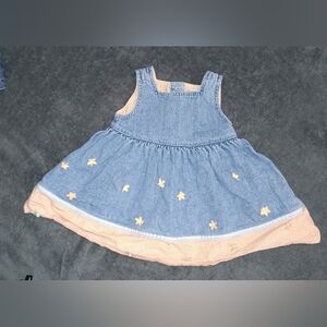 GAP Baby Blue Denim Dress with Floral Details
